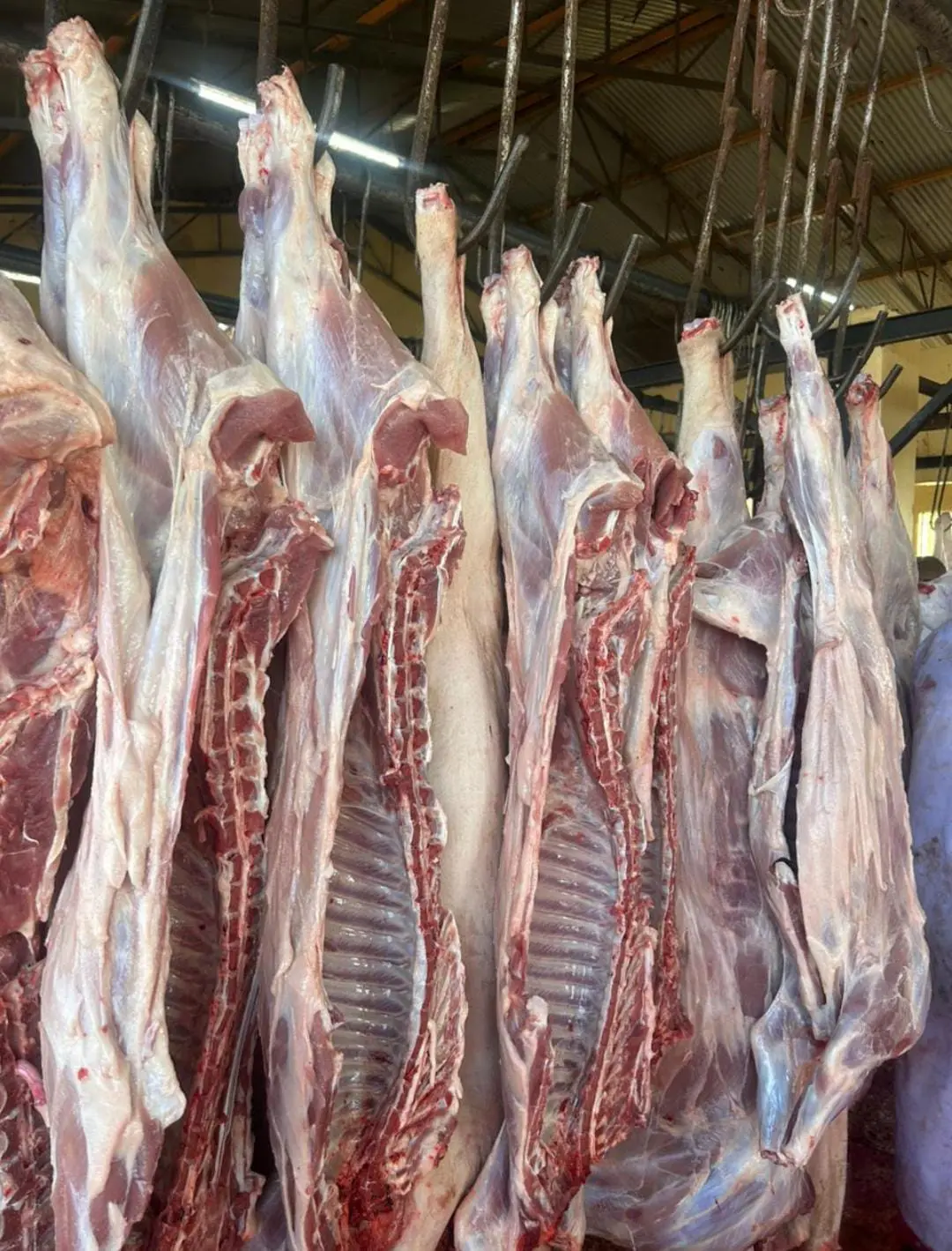 Premium pork cuts